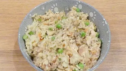 dog food recipe with canned salmon